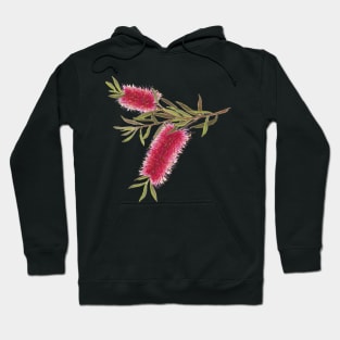 Australian Flora ~ Red Bottle Brush Hoodie